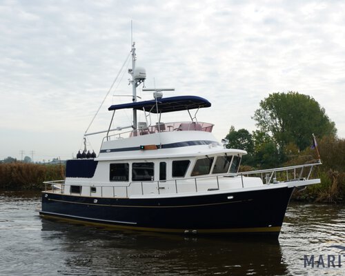 Selene 40 'Yvonne'  