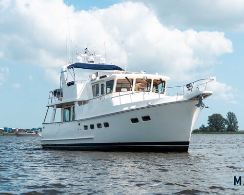 Selene 49 'Pilgrim'