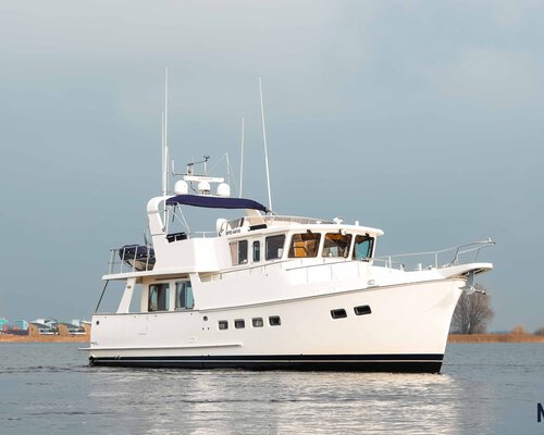 Selene 49 'Pilgrim'