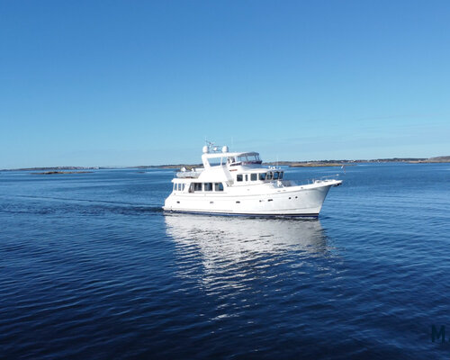 Selene 59 'Charlotte' 